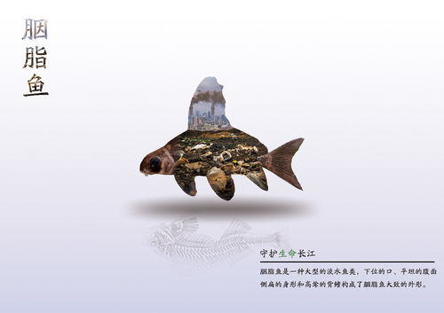 醫(yī)藥創(chuàng)新攜手長江文化 守護(hù)水生生物公益海報設(shè)計大賽